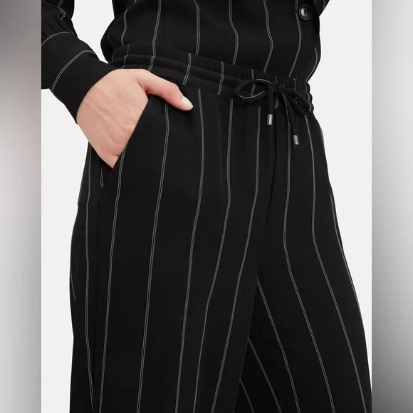 Anine Bing Isabella Pinstripe Pants Drawstring Pull On Black Stripe Size Medium - Picture 2 of 16